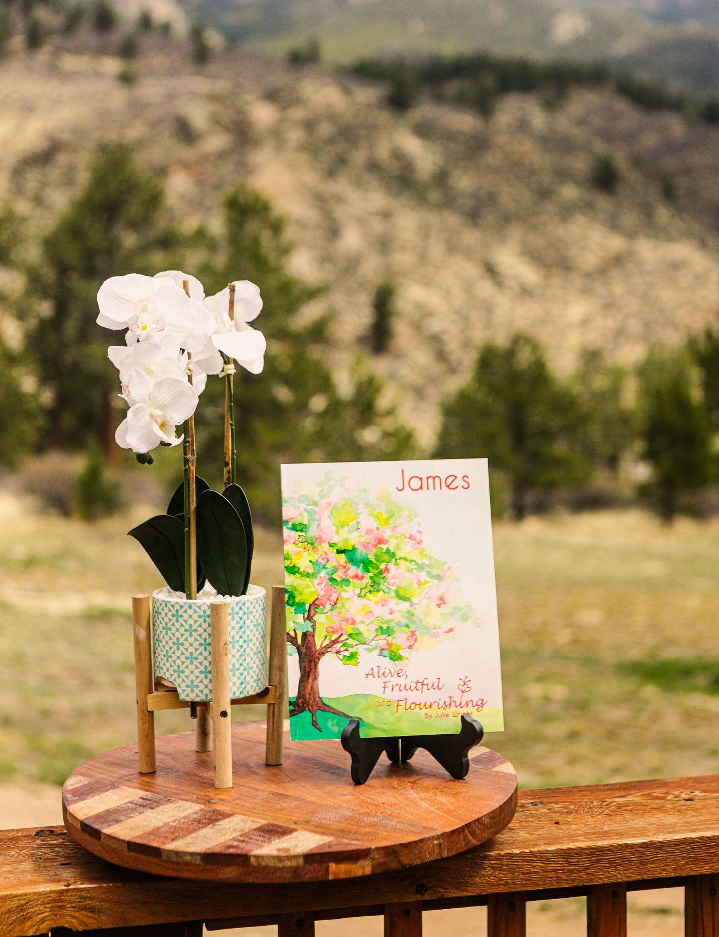 James: Alive, Fruitful and Flourishing - Bible Study w/ Videos